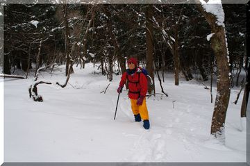 ノルウェイの親子