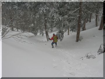 続　厳冬期　氷ノ山