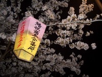 奥様が持っていったデジカメには？