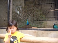 遠足だぁ～♪ 2009/05/12 22:27:21