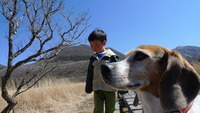 春の連休in大分三昧 2012/05/15 08:51:30