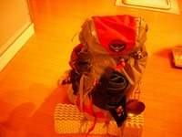ＢＰ・パッキング 2009/11/05 21:12:47