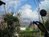 春の連休in湯布院 2010/03/25 07:21:23