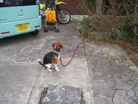 いってきます。 2011/03/18 21:25:08