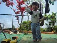 囲炉裏テーブル 2010/04/21 12:46:46