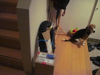 バイク関連あれこれ 2010/05/28 21:08:36
