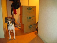 使うのか？これ！ 2009/06/16 21:49:59