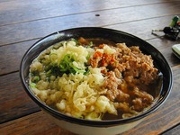 三瀬の地鶏うどんツー 2010/08/16 15:10:59