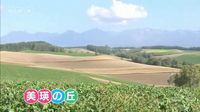 やっぱ今年も北海道に行きたぁ～ぃ！ 2010/01/16 21:24:00