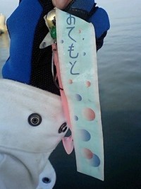 悲惨な釣行… 2008/08/07 08:52:51