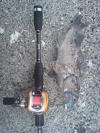 小魚パターン!! 2008/10/19 19:28:55