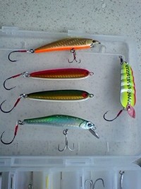 退屈な日曜日 2009/03/15 17:45:33