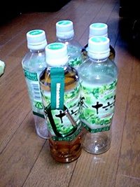 最終日 2009/04/07 20:11:25