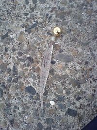 久々平日釣行～♪ 2009/06/18 19:59:38