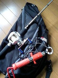 リール 2010/01/22 19:29:50