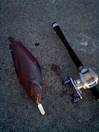 寒さとの闘い 2009/11/22 19:52:59