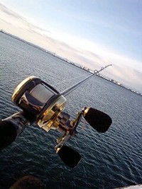 魚は…いるのか!?(爆) 2010/02/13 18:12:20