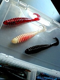 お気に入りワーム 2010/09/07 18:46:35