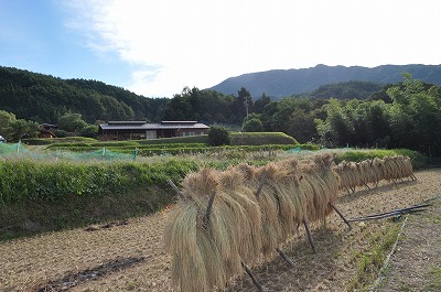 いなかの風　秋の結祭