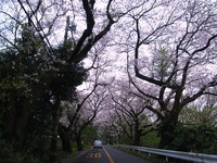 高麗山