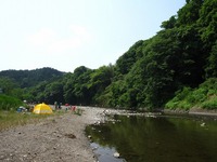 巾着田