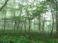 大菩薩嶺 2010/08/26 14:44:37