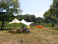 河川敷キャンプ