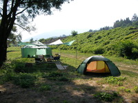 河川敷キャンプ