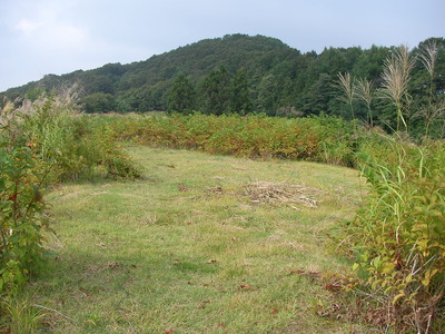 東山縦走？