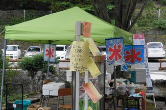 小野川自然プールで水遊び