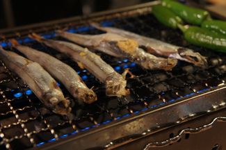 近場で春キャンプ