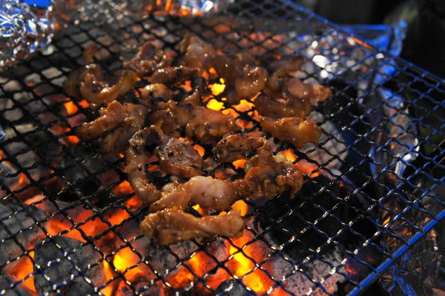 近場で春キャンプ