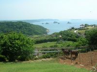 ワイルドなキャンプ場in鷹島