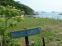 ワイルドなキャンプ場in鷹島