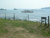 ワイルドなキャンプ場in鷹島
