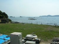 ワイルドなキャンプ場in鷹島