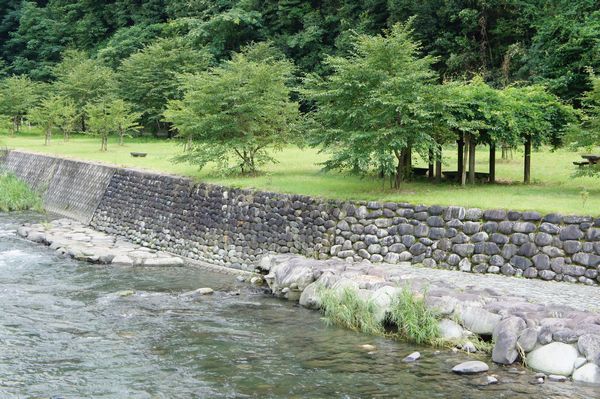 星野村de川遊び