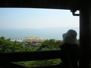 竜王山ホタルキャンプ2010