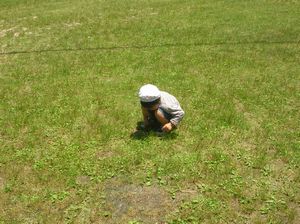 吉野山へ行ってきました！