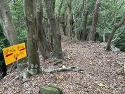 天測点の山
