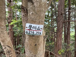 天測点の山