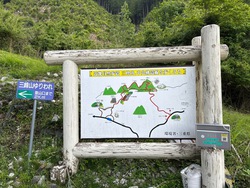 春の終わりに