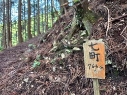 春の終わりに
