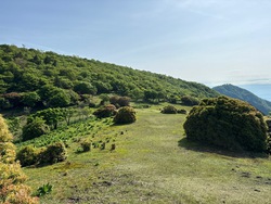 春の終わりに