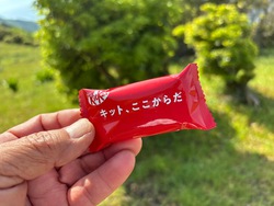 春の終わりに