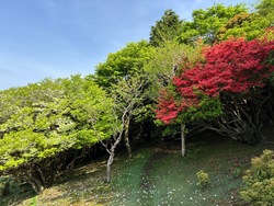 春の終わりに