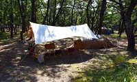 くにの松原キャンプイベント