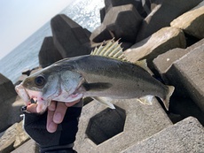 夏季連休中の釣り① 2020/08/14 13:55:22