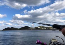 デカ烏賊求めて島根エギング‼12月なのに新子...(6￣ ￣)ﾎﾟﾘﾎﾟﾘ。。。 2020/12/06 18:00:37