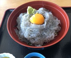 【秋の陣！初陣】ハイシーズンエギング始動(^_-)-☆。。。 2020/09/06 15:00:04